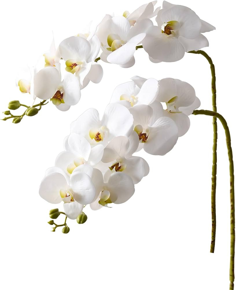 2Pcs White Orchids Artificial Flowers 38" Long Stem Fake Orchid,Real Touch Latex Faux Phalaenopsi... | Amazon (US)