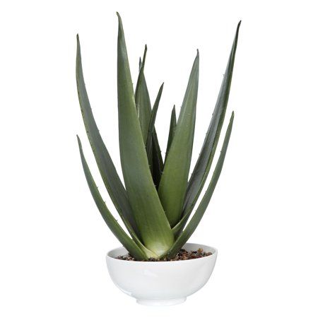 Uttermost 60177 Evarado 30"" Tall Contemporary Aloe Vera Artificial Plant | Walmart (US)