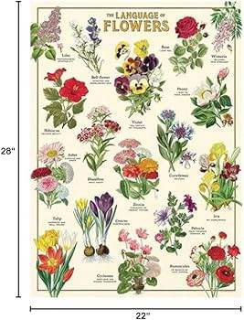 Cavallini Papers & Co. 1,000 Piece Puzzle, Language of Flowers (PZL/LNGFLR) | Amazon (US)