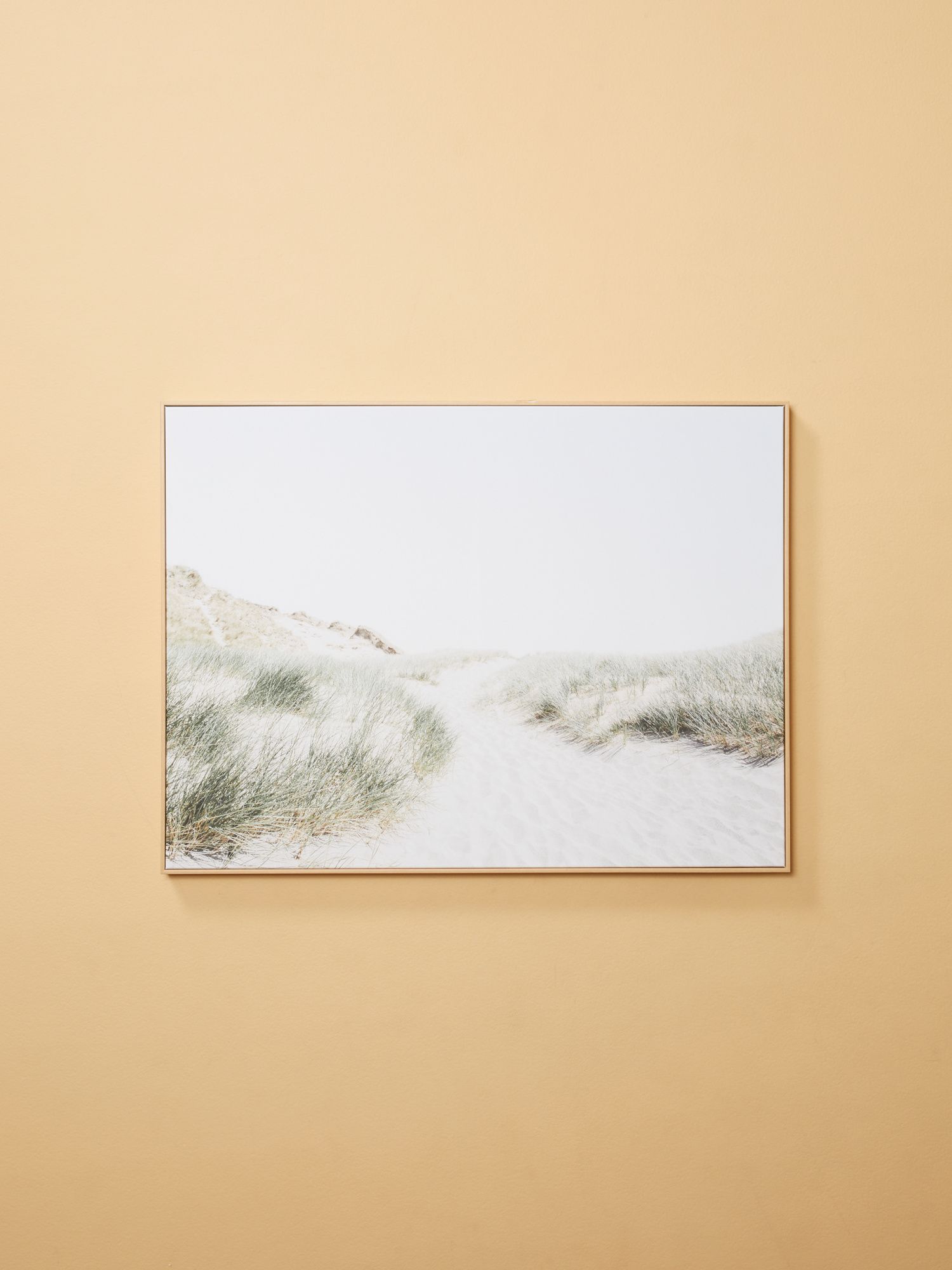 30x40 Canvas Sea Side Path Wall Art In Frame | Living Room | HomeGoods | HomeGoods