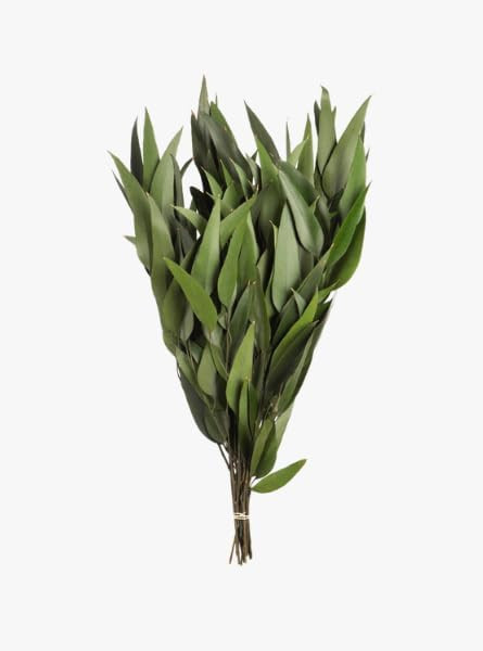 Weeping Willow Eucalyptus Foliage | Amazon (US)