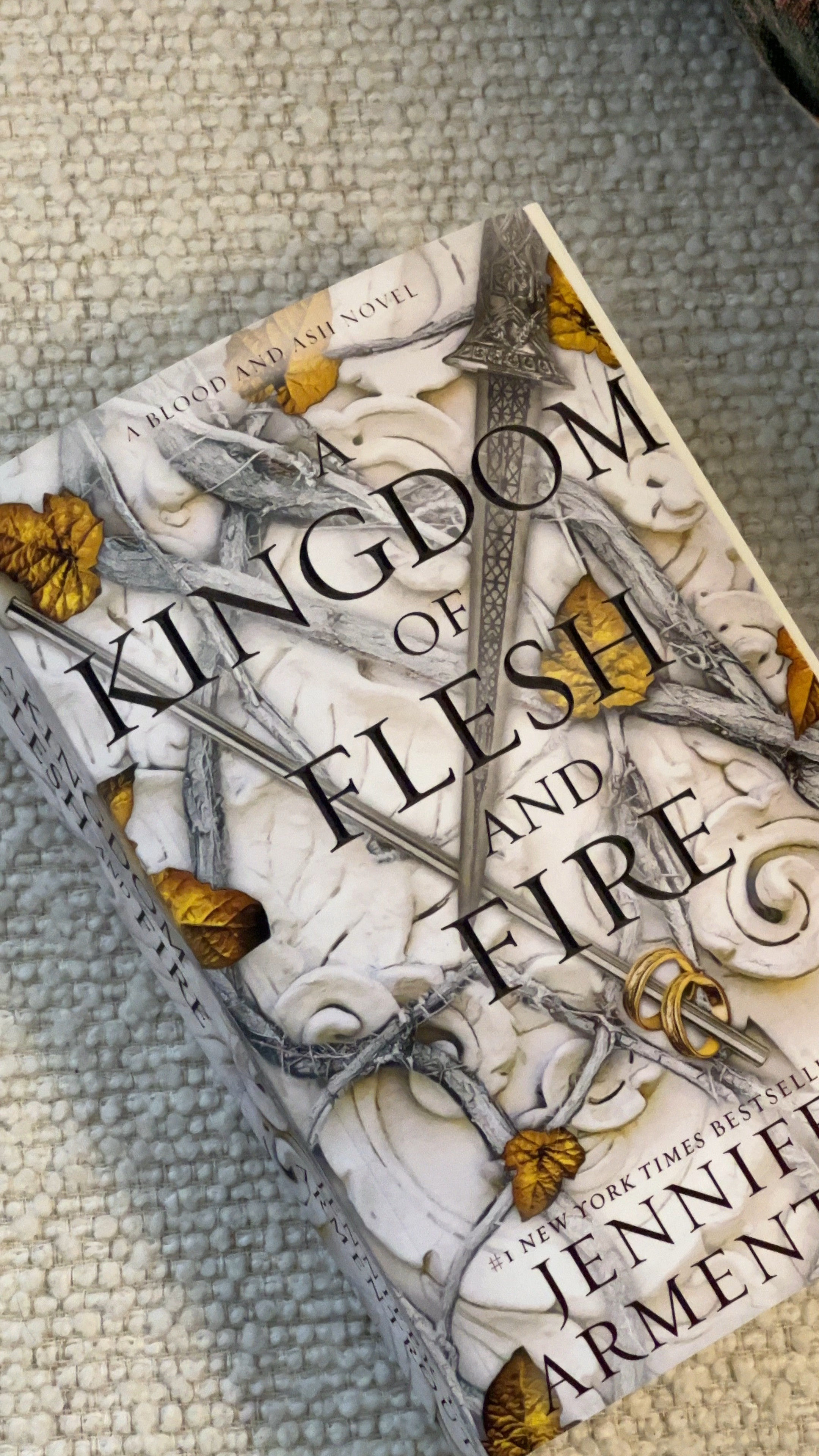 Kingdom of flesh and fire #booktok

#LTKFindsUnder50 #LTKSaleAlert
