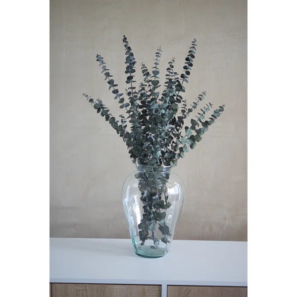 Preserved Green Eucalyptus | Joss & Main