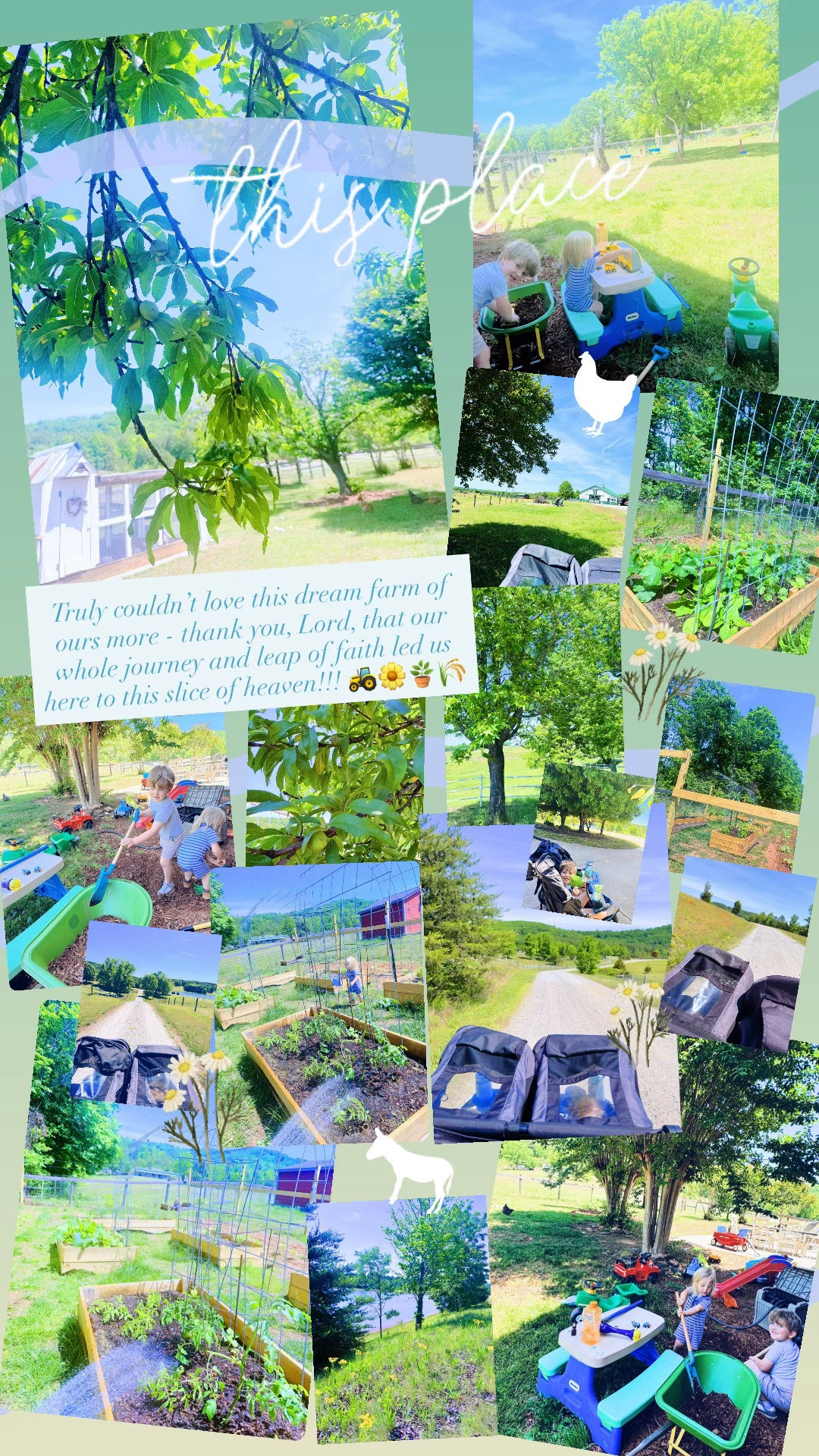 Truly couldn’t love this dream farm of ours more - thank you, Lord, that our whole journey and leap of faith led us here to this slice of heaven!!! 🚜🌼🪴🌾