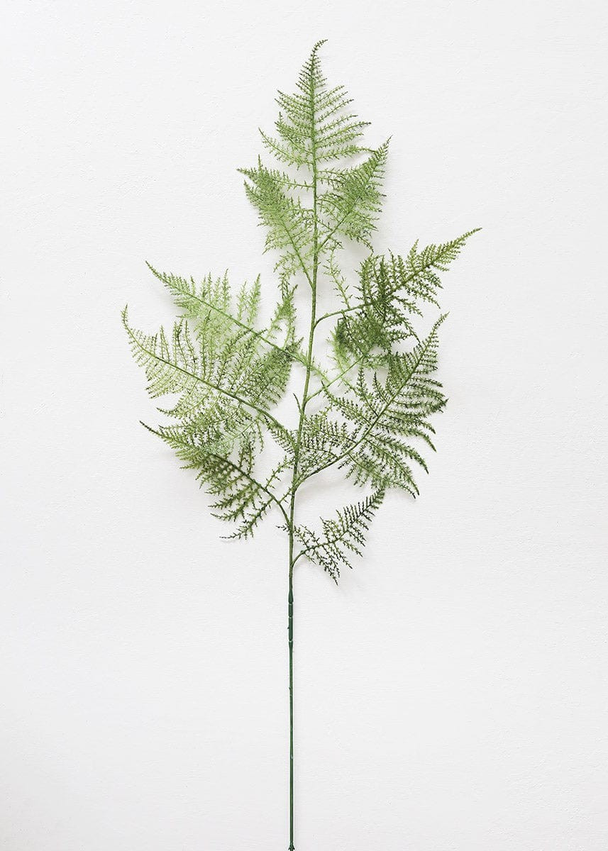 Fake Asparagus Fern Leaves - 45 | Afloral (US)
