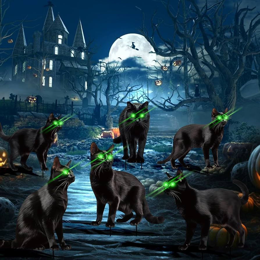 6 Pack Black Cat Halloween Decorations Plastic Yard Signs with Stakes,Halloween Decorations Outdo... | Amazon (US)