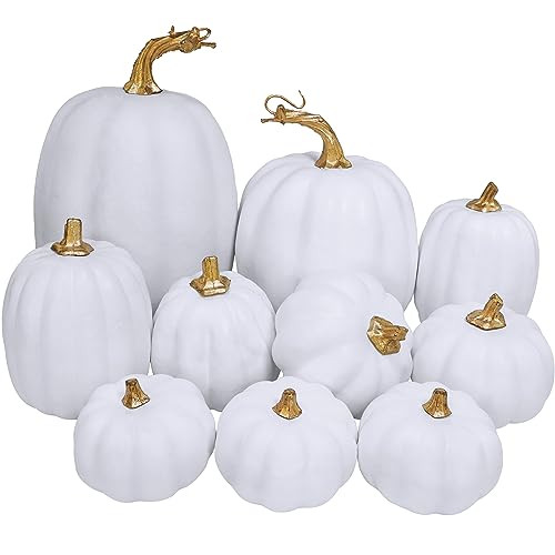 Winlyn 10 Pcs Assorted White Artificial Pumpkins Harvest White Pumpkins Decorative Pumpkins Foam Rustic Fall Pumpkins for Autumn Fall Wedding Thanksgiving Halloween Props Home Seasonal Mantel Décor | Amazon (US)