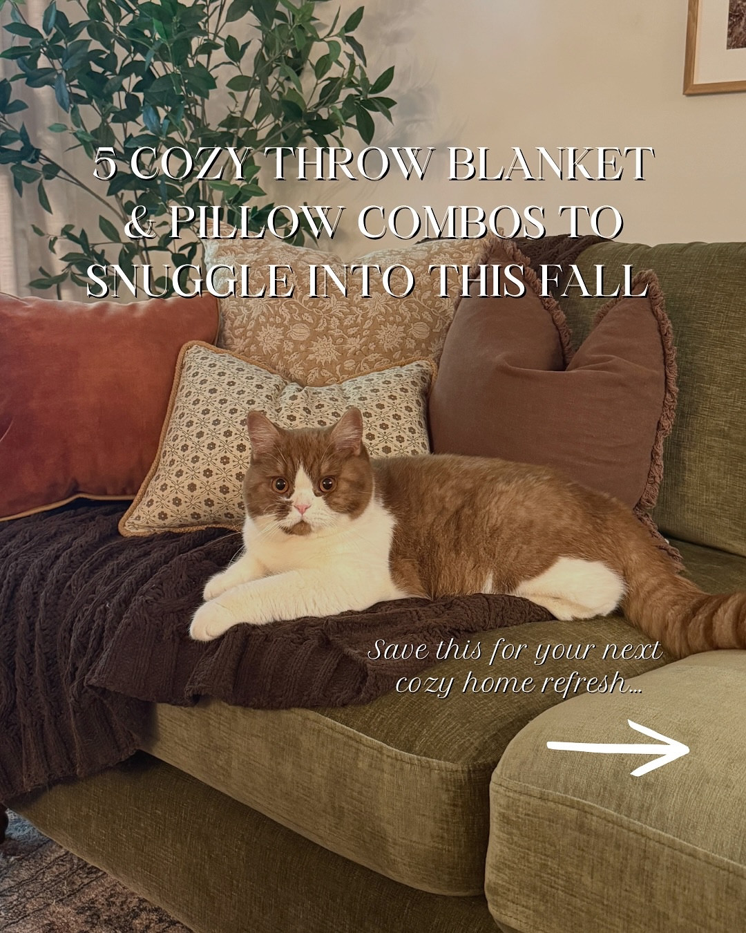 Comment “COZY” and I’ll send you the link to shop all 5 pillow + throw combos 🤎

These are the little details that make your home feel like fall soft textures, layered patterns, and tones that bring warmth without being over the top. Whether you love a classic plaid moment or something a little more whimsical, there’s a combo here for every cozy corner 🍂

Save this for your next fall home refresh ✨

#cozyhome #falldecor #throwpillows #throwblankets #cozyliving #homestyling #fallhomedecor #cozyvibes #interiorstyle