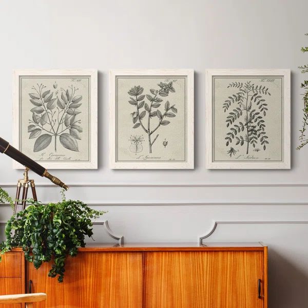 Antique Black And White Botanical VII - 3 Piece Picture Frame Drawing Print Set on Canvas | Wayfair North America