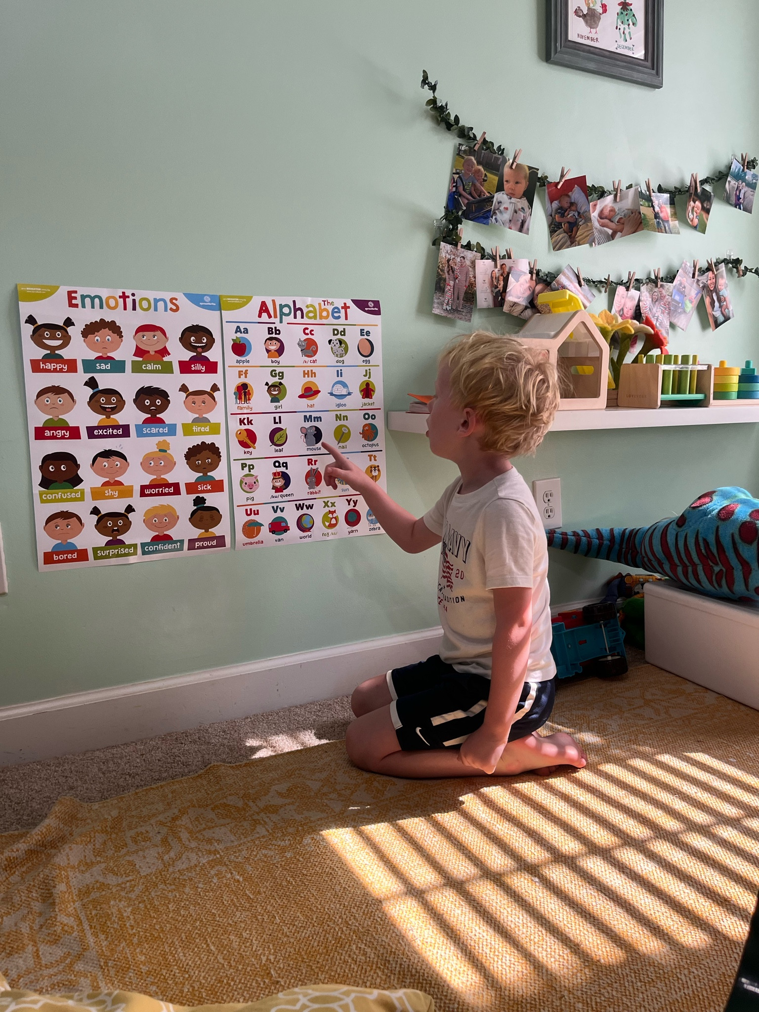 I thought these posters would be a cute idea that my kids would never use or look at  and I was so wrong. These posters have stimulated so many conversations and so much learning. There are 20 different ones I believe so we are rotating though which ones we have hung up around the house!  

#LTKBaby #LTKKids #LTKFamily