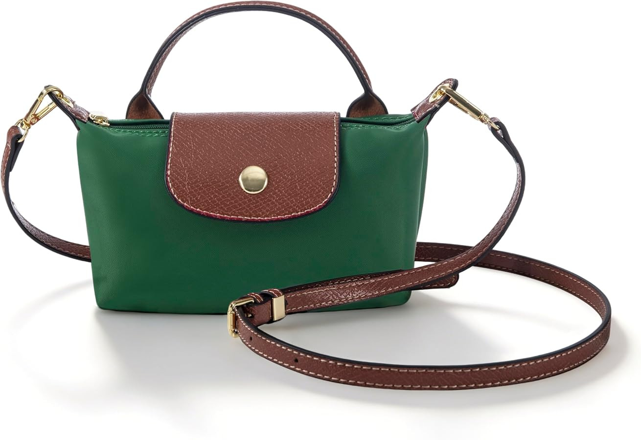Mini Crossbody Bags for Women Handbag with Adjustable Strap Fashion Shoulder Bag | Amazon (US)