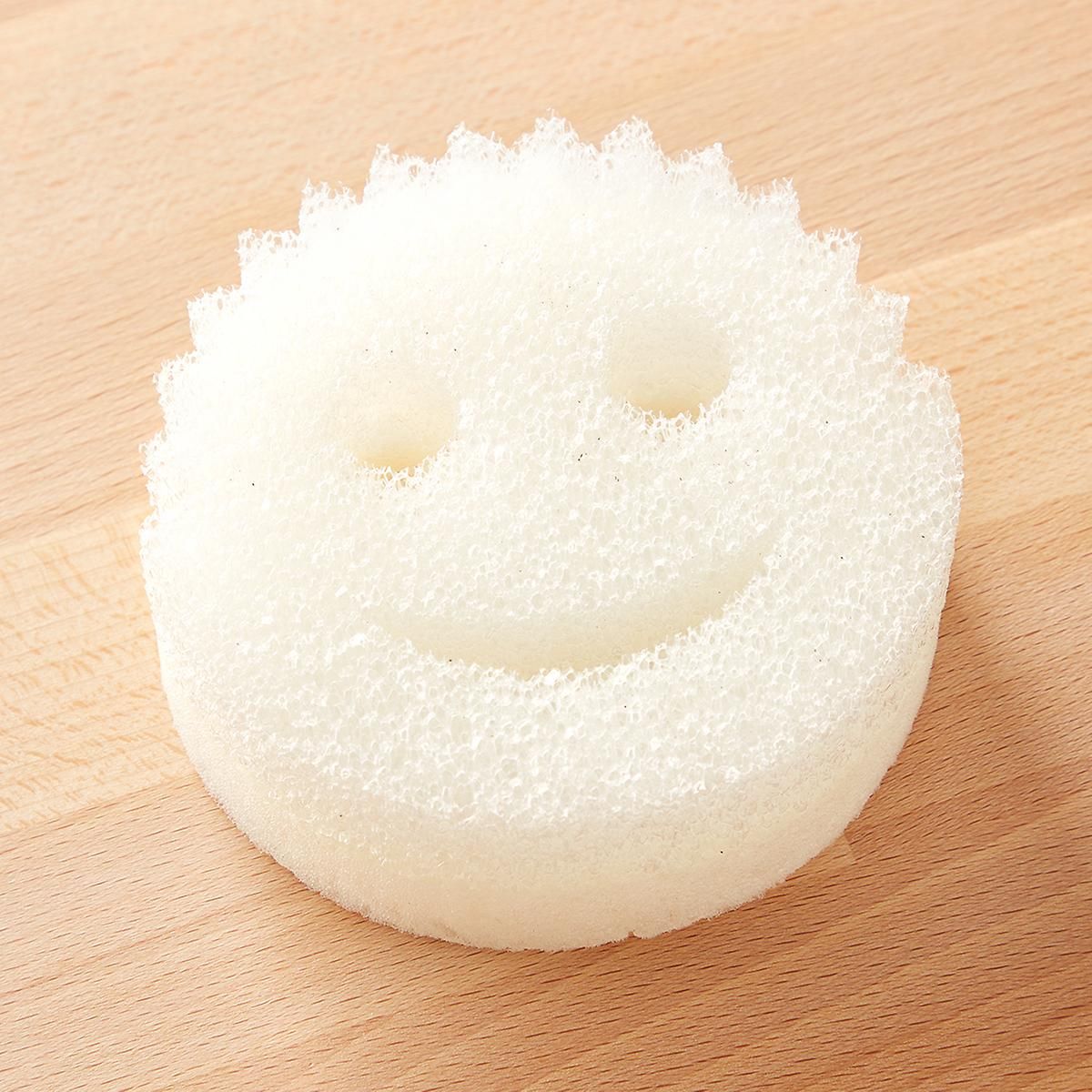 Scratch-Free Scrub Daddy Dye Free | The Container Store