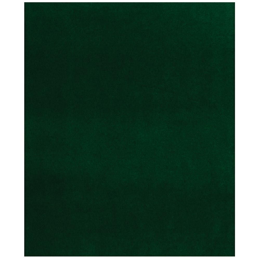 Fairway Green 6 ft. x 8 ft. Indoor/Outdoor Area Rug | The Home Depot