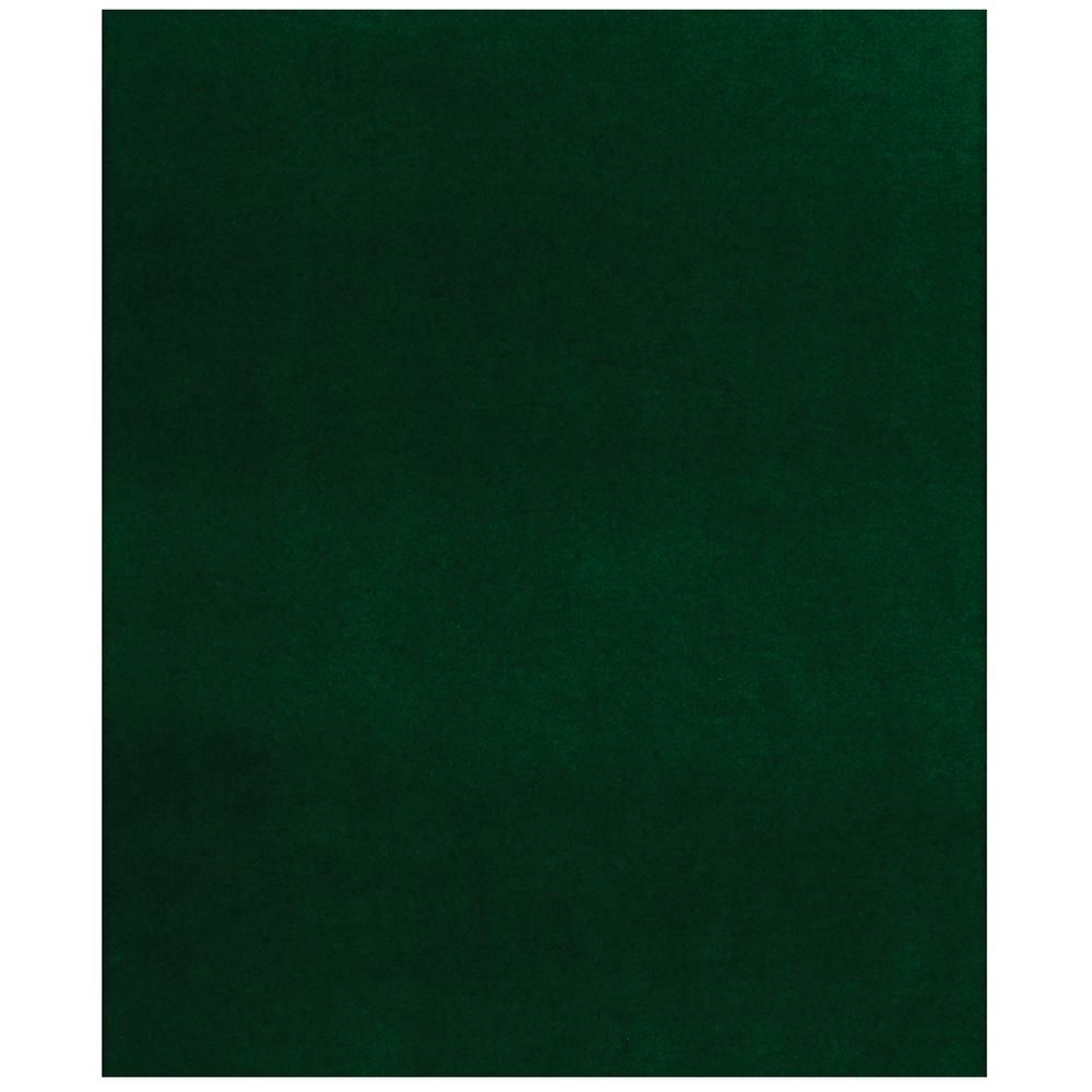 Fairway Green 6 ft. x 8 ft. Indoor/Outdoor Area Rug | The Home Depot