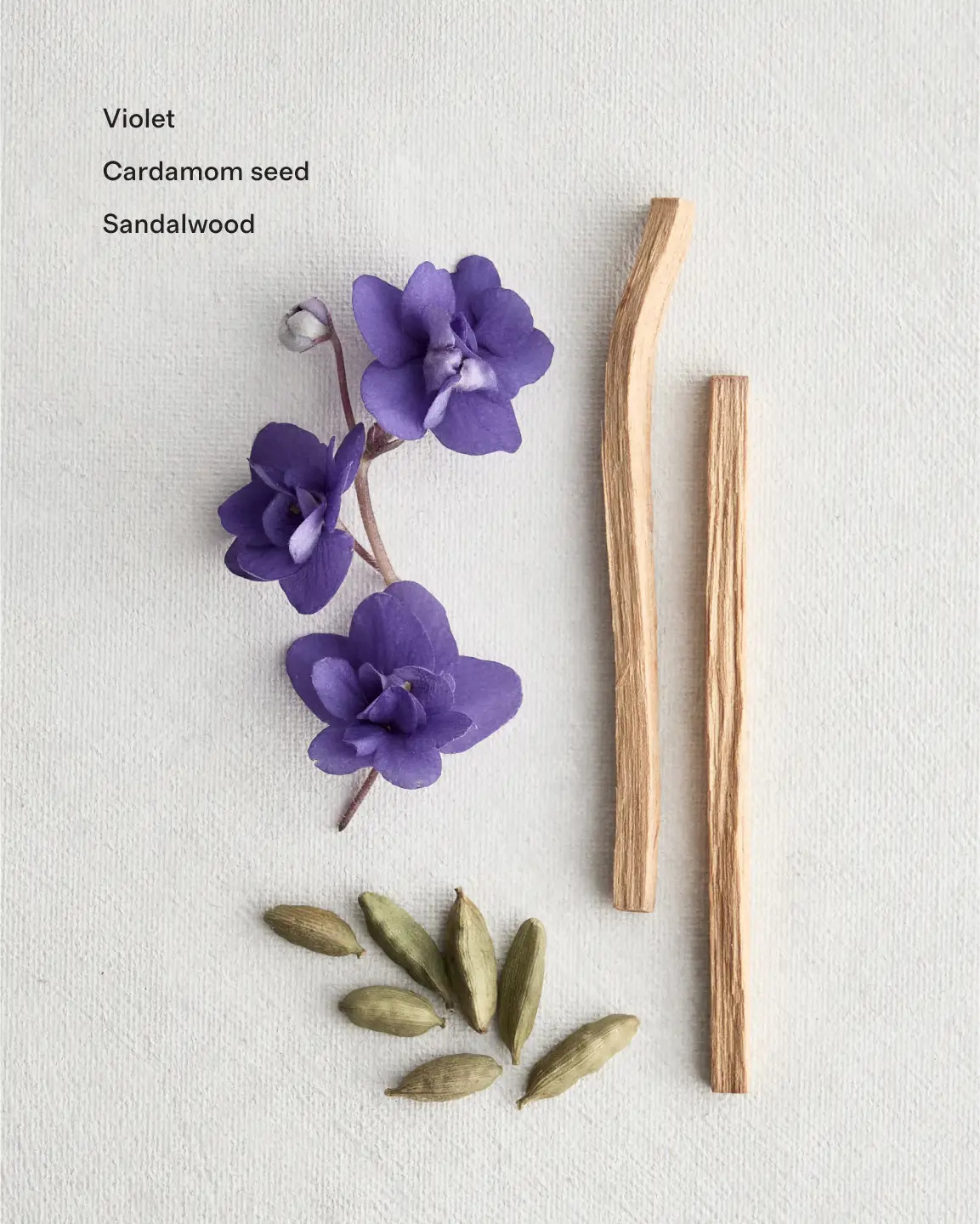 Bois de Santal Eau de Parfum | Quince