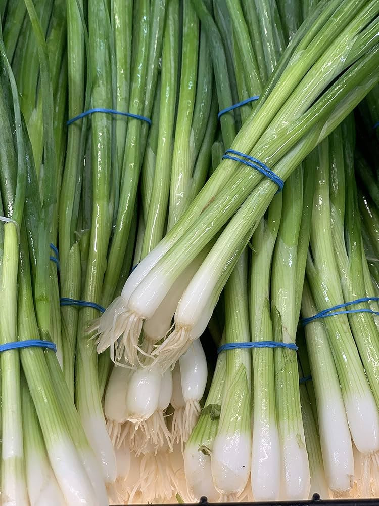 Kejora Fresh Green Onion 4 Bundles -Produce of USA (Endless Green Onion Supplies by replanting Th... | Amazon (US)