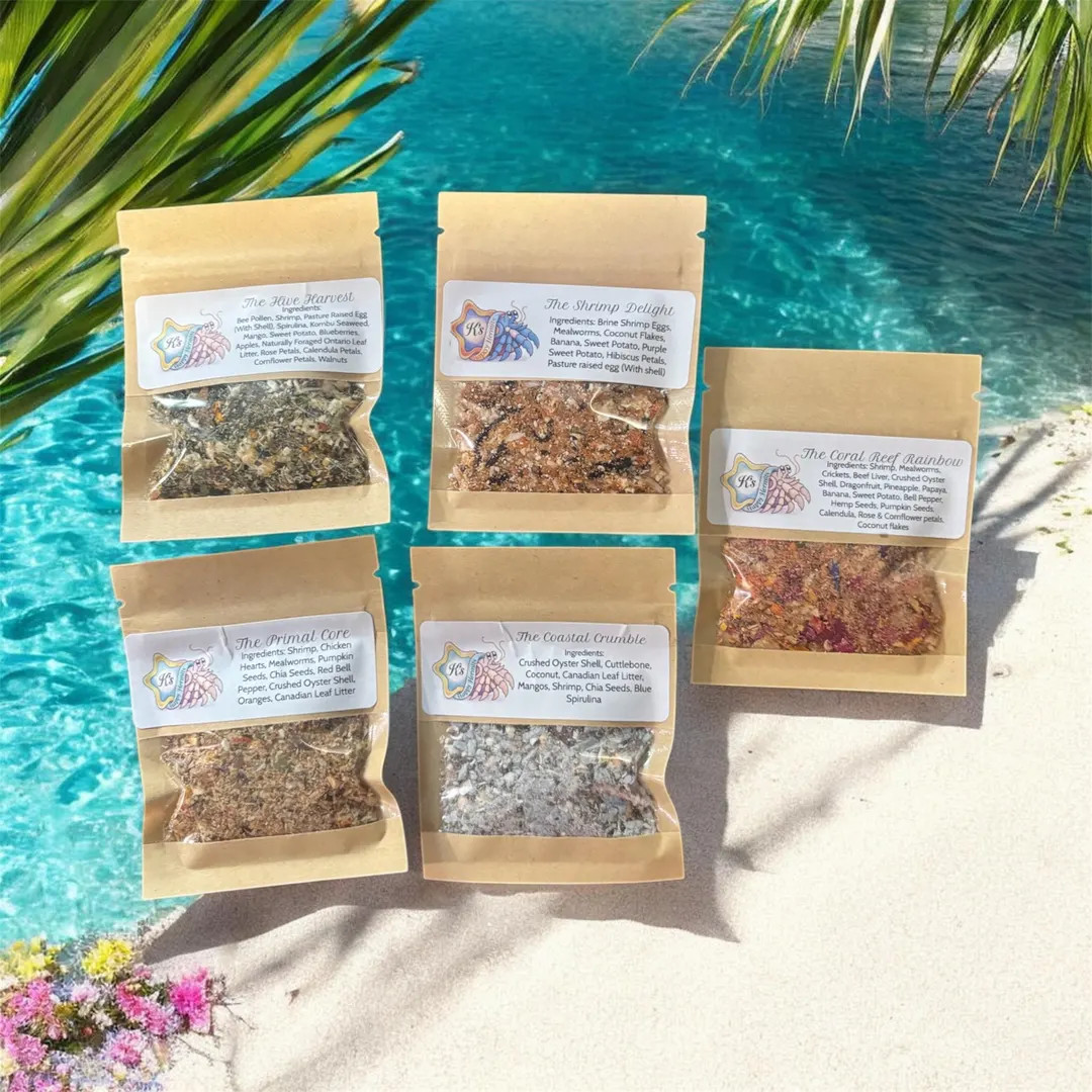 Tide Treats Bundle - 5 Complete Food Blends - Etsy | Etsy (Global)