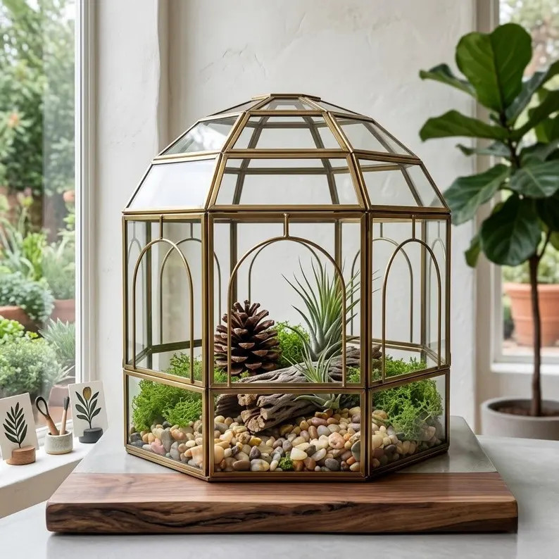 Large Glass Terrarium Birdcage \u2013 Indoor Display Case, Succulent & Orchid Planter, Unique Hom... | Etsy (Global)
