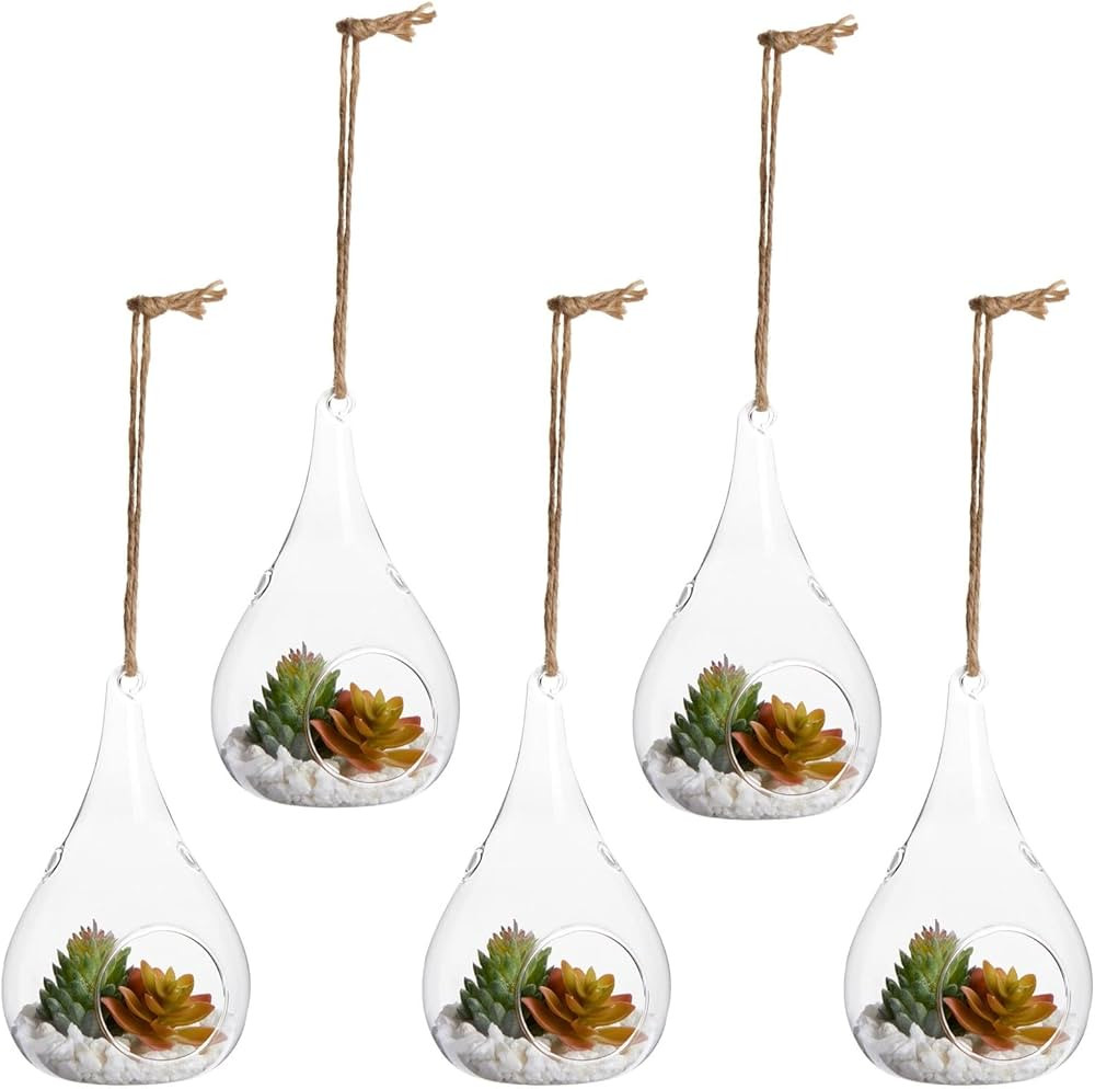 5-Pack Hanging Glass Terrarium Containers - Air Plant Holder, Succulent Planter, Tea Light Candle... | Amazon (US)