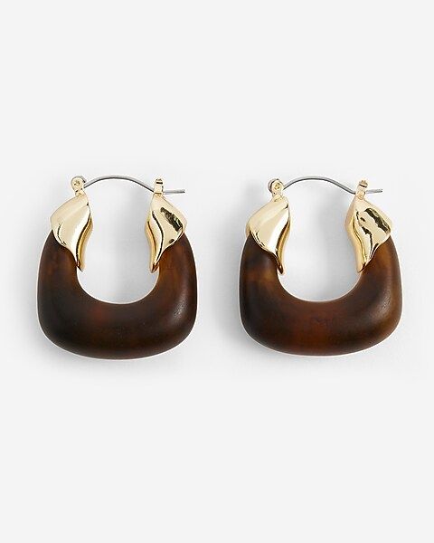Brown Resin Dome Hoop Earrings | Express