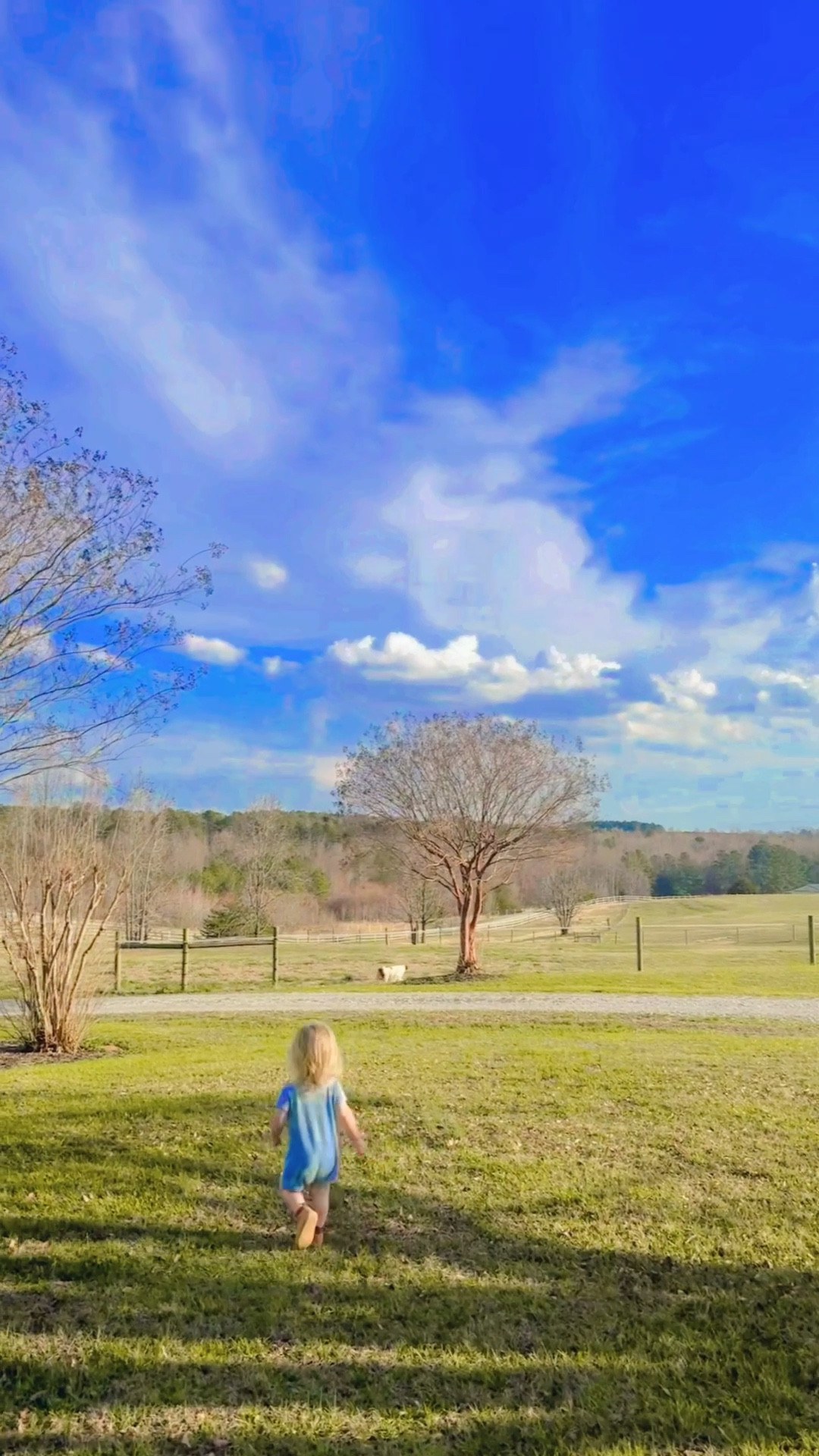 spent the evening exploring our 12 acres 🤍 how dreamy are these pastures, y’all!! ☀️