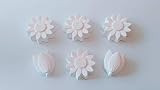 Paint Your Own Flower Magnets Kit, Sunflowers & Tulips Painting Craft | Amazon (US)