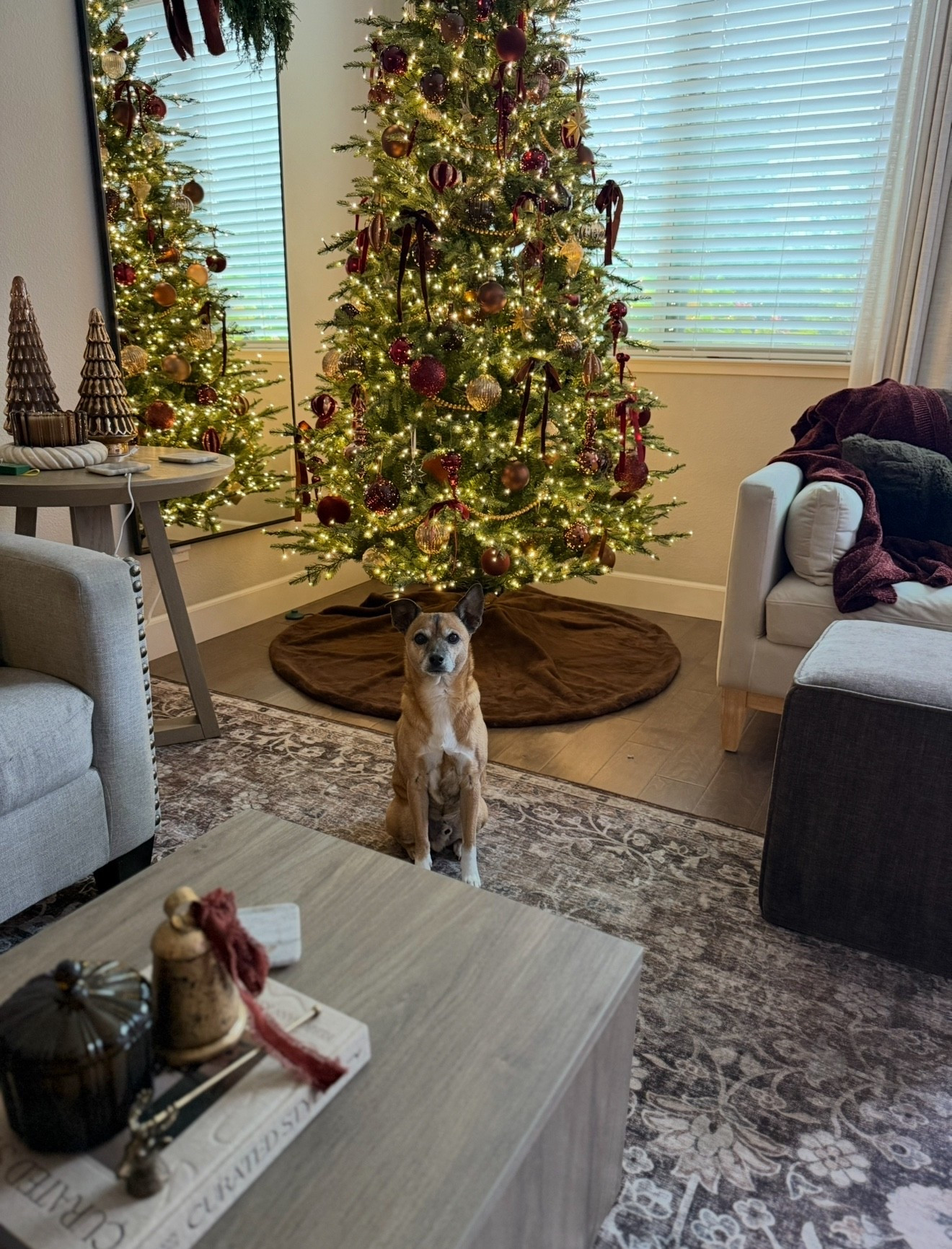 Rug sale | loloi x amber Lewis washable rug | living room rug 

#LTKHoliday #LTKSaleAlert #LTKCyberWeek