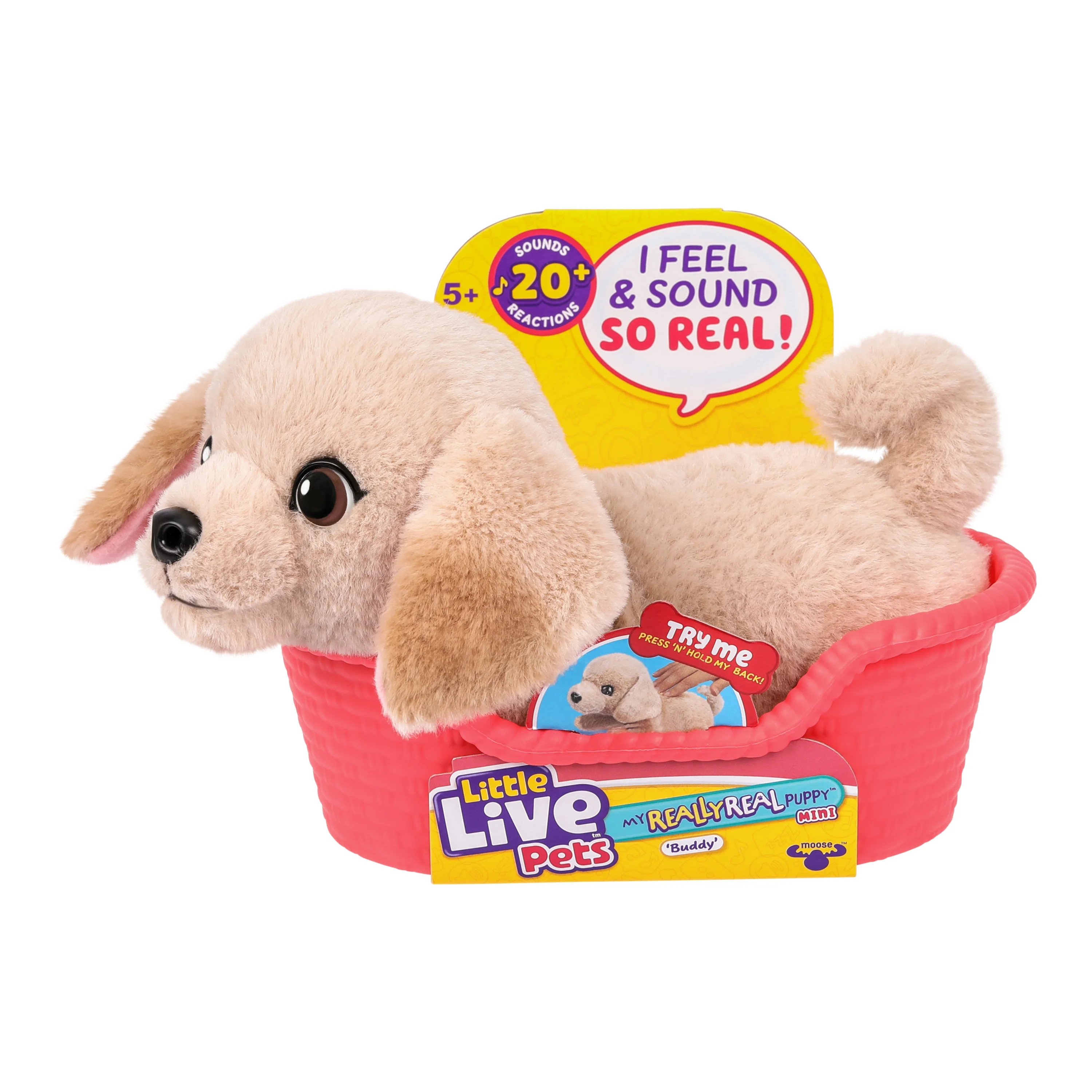 Little Live Pets My Really Real Puppy Minis Buddy the Retriever Interactive Puppy with 20+ Sounds... | Walmart (US)