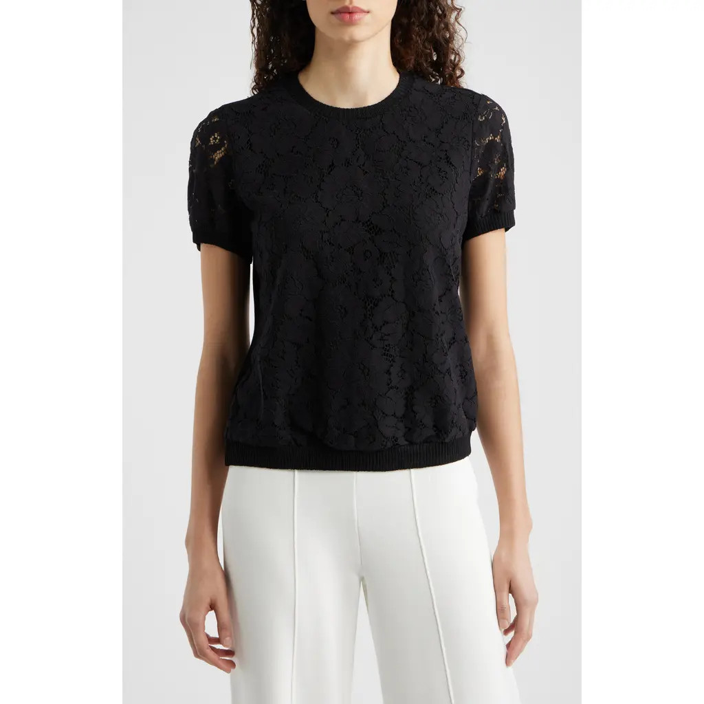 Tahari ASL Lace Front Sweater in Black at Nordstrom, Size Large | Nordstrom