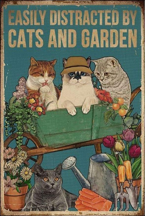 Easily Distracted by Cats and Garden Retro Metal Tin Sign Vintage Aluminum Sign for Home Coffee W... | Amazon (US)