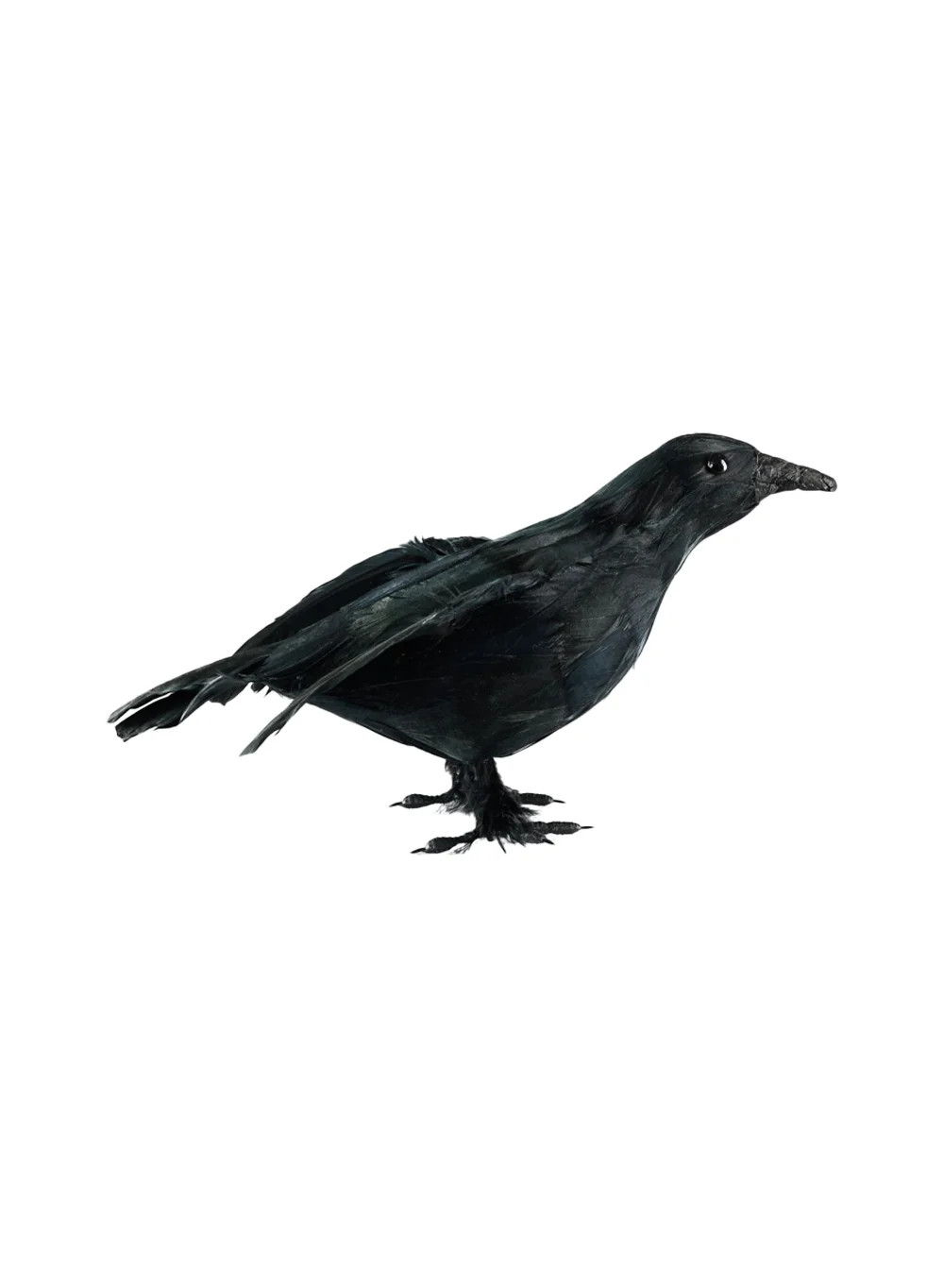 The Holiday Aisle® Flying Black Crow Figurine, Realistic Halloween Crow Prop, Decorative Black Feathered Spooky Crow For Home, Scarecrow, Photo Booth | Wayfair North America
