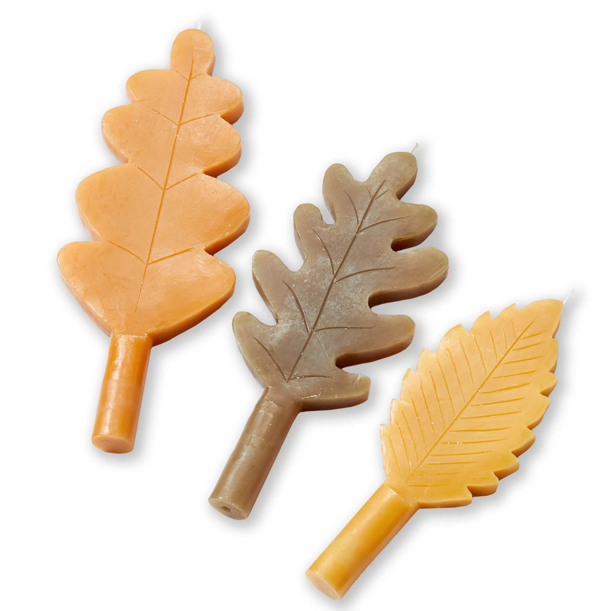 Fall Leaf Taper S/3 | Wayfair North America