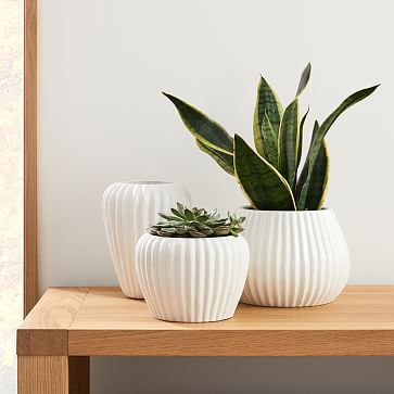 Sanibel Tabletop Planters | West Elm (US)