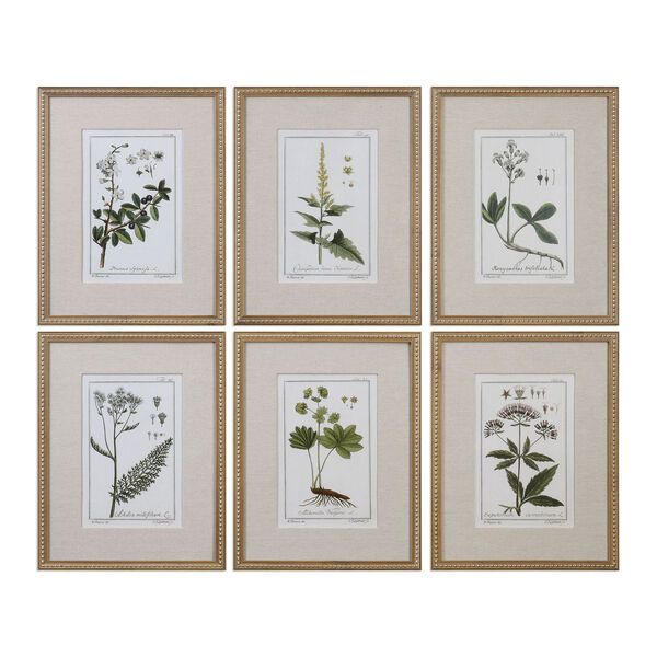 Green Floral Botanical Study Prints, Set of 6 | Bellacor