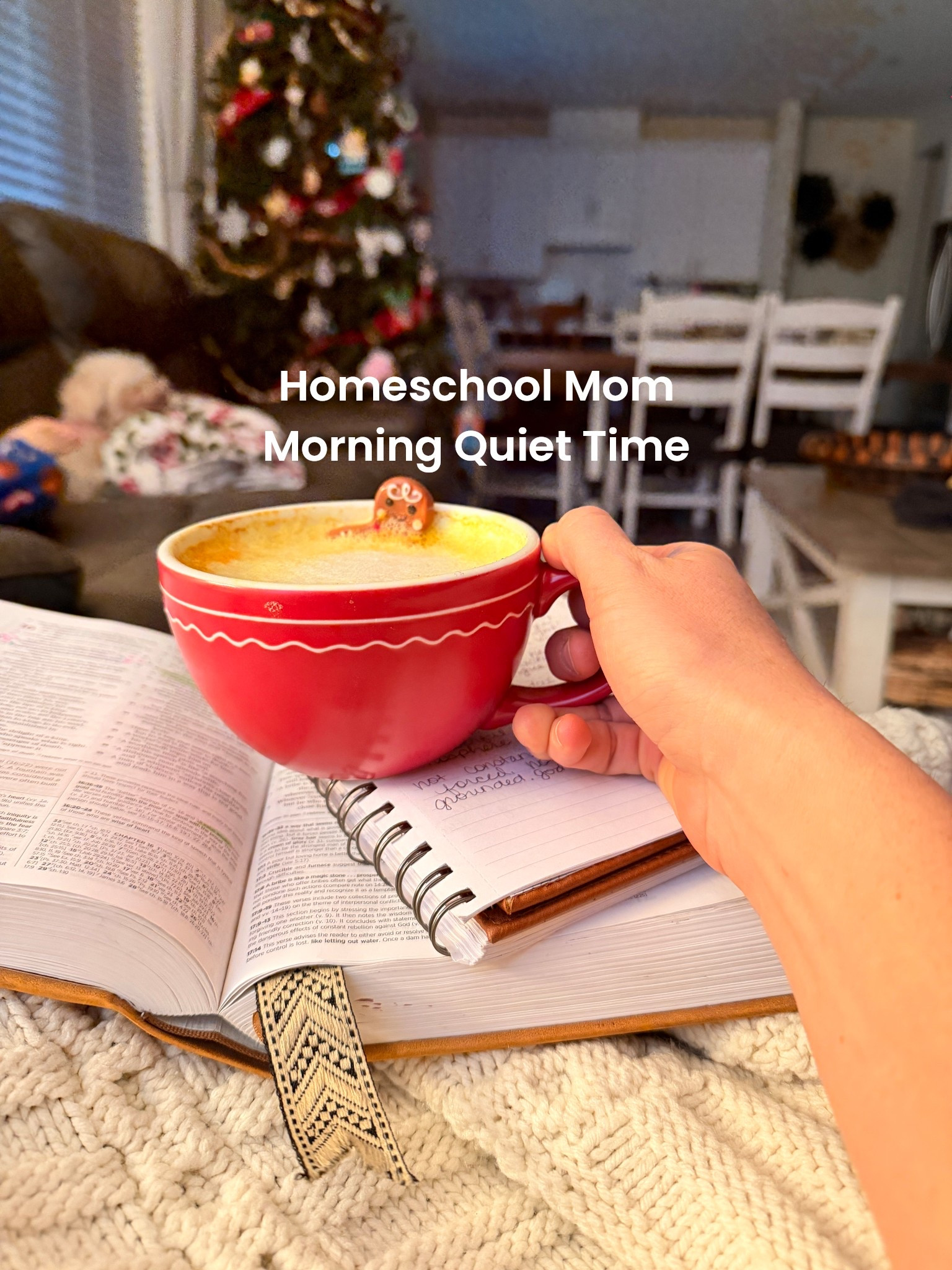 This morning’s quiet time as a homeschool mom of 3!! Loving golden milk lattes lately instead of coffee or matcha to start the day!! 

These devotional and books have been such a delight this advent season! 

#LTKdayinmylife #LTKmorningroutine #LTKmomlife
