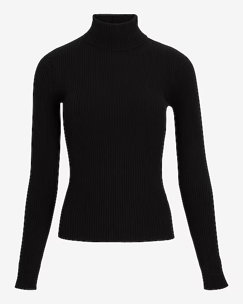 Fitted Ribbed Turtleneck Sweater | Express