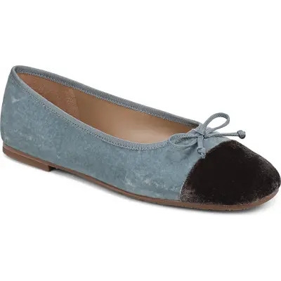 Sam Edelman Alie 2 Ballet Flat in Azure Blue/mink Brown at Nordstrom, Size 8.5 | Nordstrom