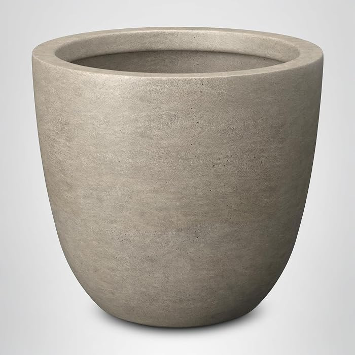 Kante 10 Inch Dia Round Concrete Planter, Indoor Outdoor Large Plant Pot with Drainage Hole and R... | Amazon (US)