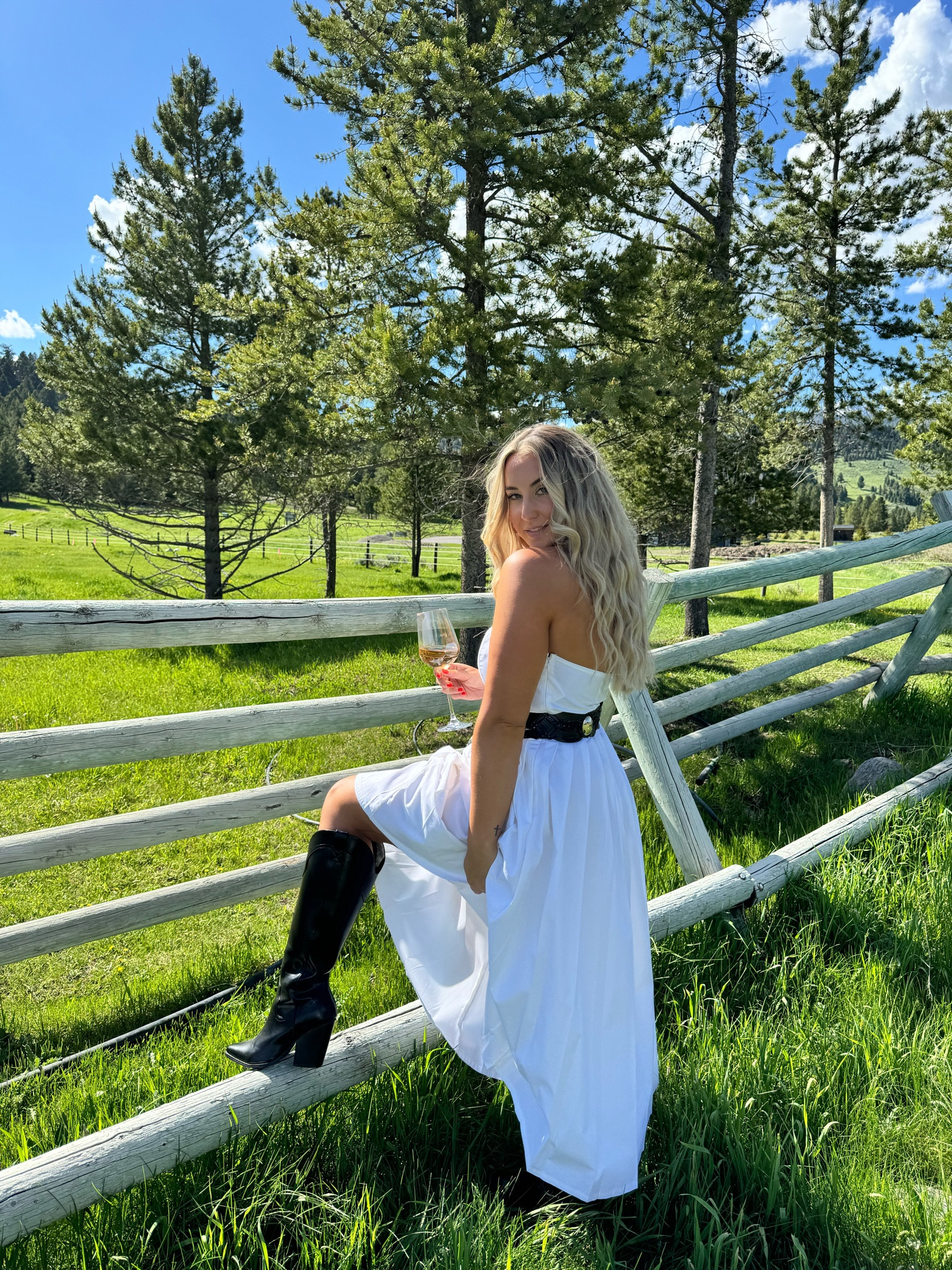 Chic western outfit from Target 🏔️🐴

Dress: 10



#LTKMidsize #LTKSeasonal #LTKStyleTip