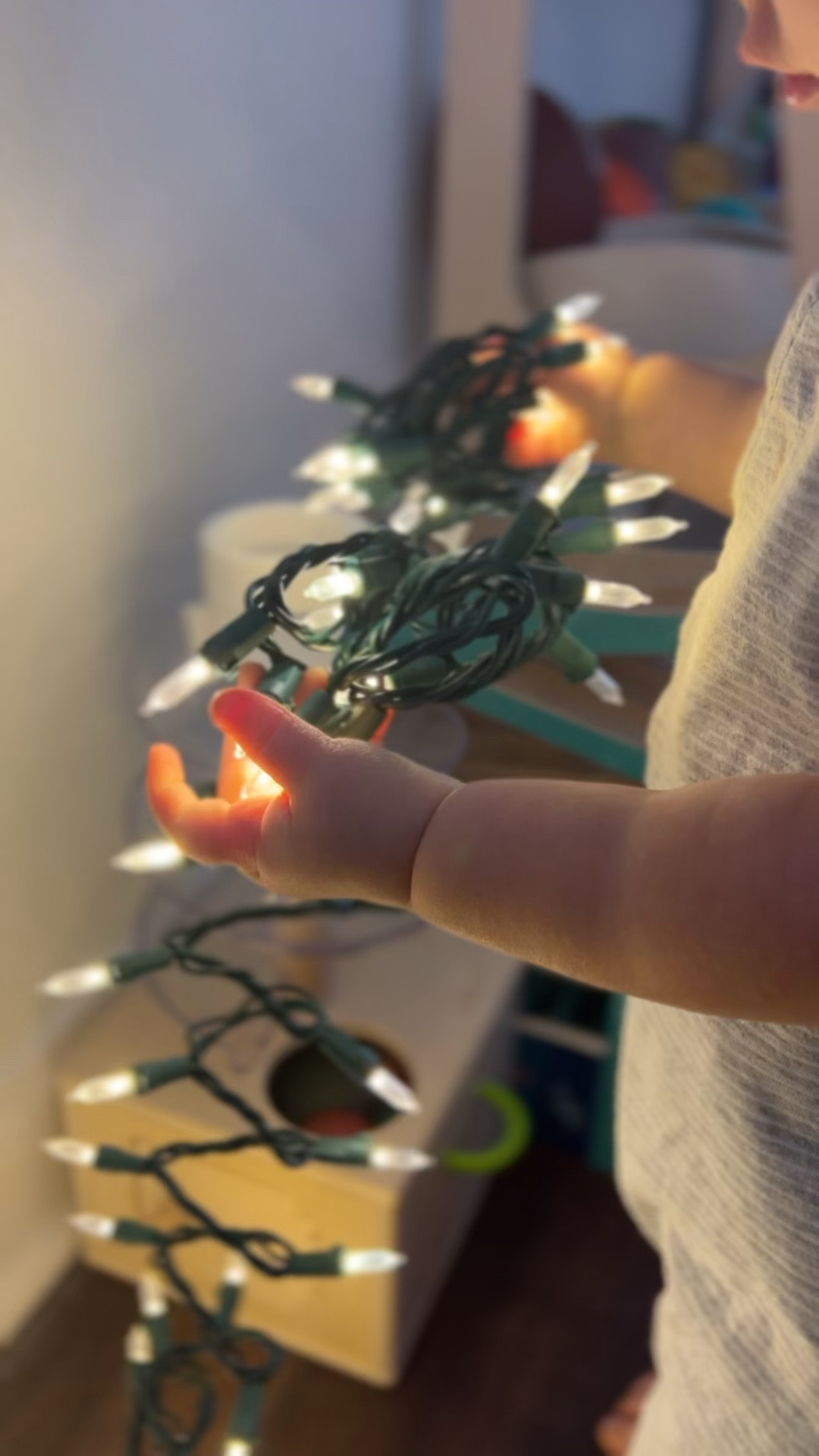 Twinkling lights from target 

#LTKSeasonal #LTKGiftGuide #LTKHoliday