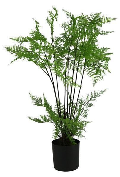 30"H POTTED SOUTHERN FERN PLANT GREEN | The Nested Fig