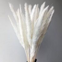 25 Stems Natural Dried Small Pampas Grass, Phragmites Communis, Fluffy Reed Plume, Wedding Flower Bu | Etsy (US)