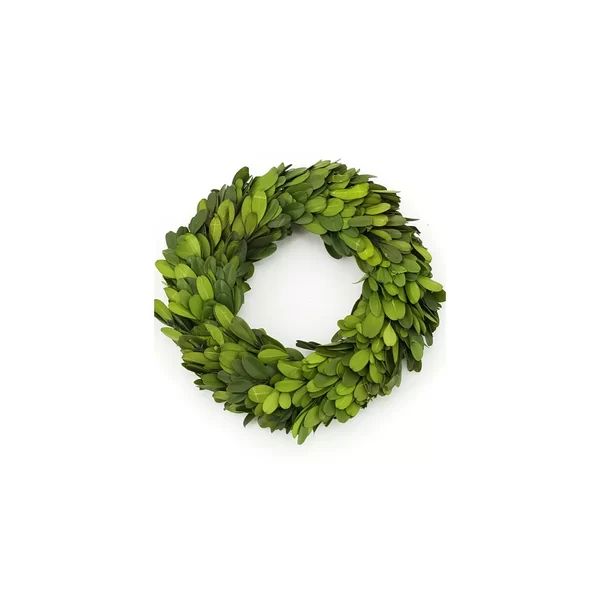 Preserved Boxwood Greenery Wreath | Wayfair North America