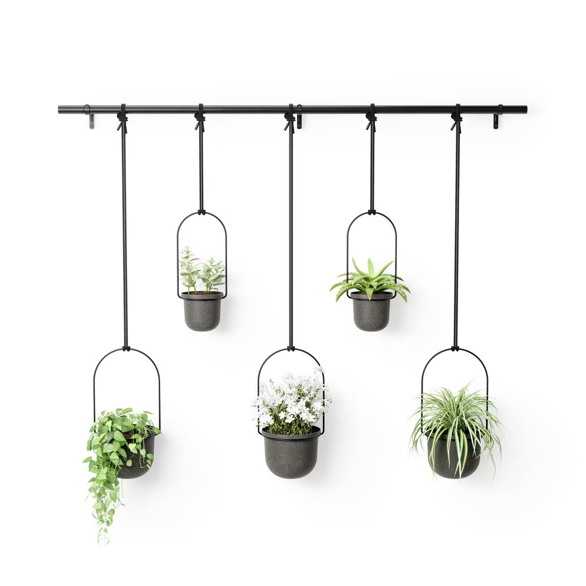 Triflora 5 Hanging Planter Black - Umbra | Target