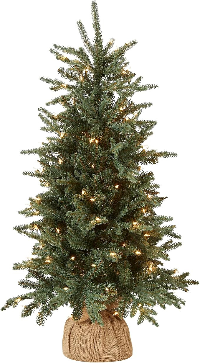 National Tree Company Pre-lit Artificial Mini Christmas Tree | Includes Small Lights and Cloth Ba... | Amazon (US)