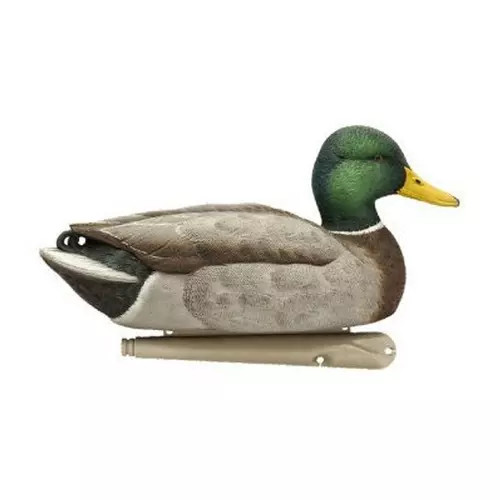 Avian-X Topflight Open Water Mallard Decoy 6-Pack | Scheels Sports
