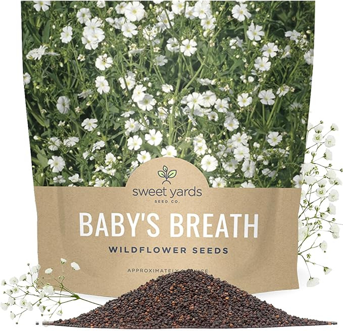 Showy Baby's Breath Seeds – Bulk Quarter Pound Bag – Over 80,000 Open Pollinated Non-GMO Wild... | Amazon (US)
