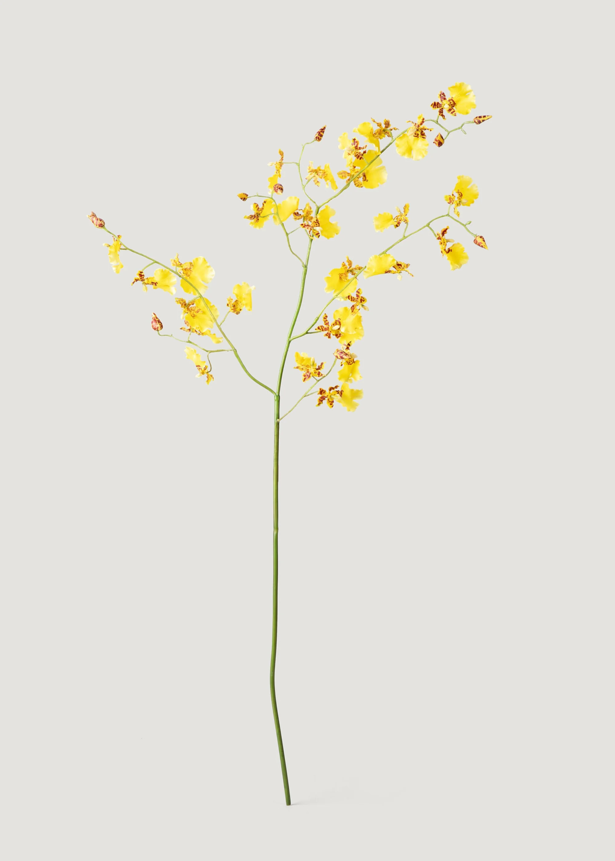 Faux Dancing Orchids in Yellow - 46" | Afloral | Afloral