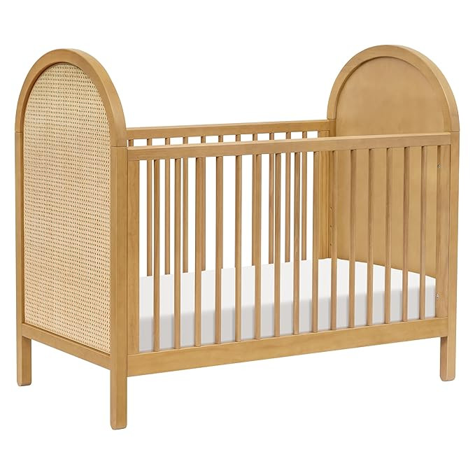 Babyletto Bondi Cane 3-in-1 Convertible Baby Crib - GREENGUARD Gold Certified Convertible Crib to... | Amazon (US)