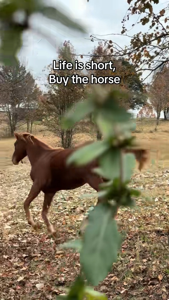 My girl 🥹♥️

#LTKvlog #LTKdayinmylife #LTKmomlife